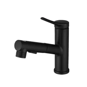 Pull Out Black Bathroom Basin Faucet